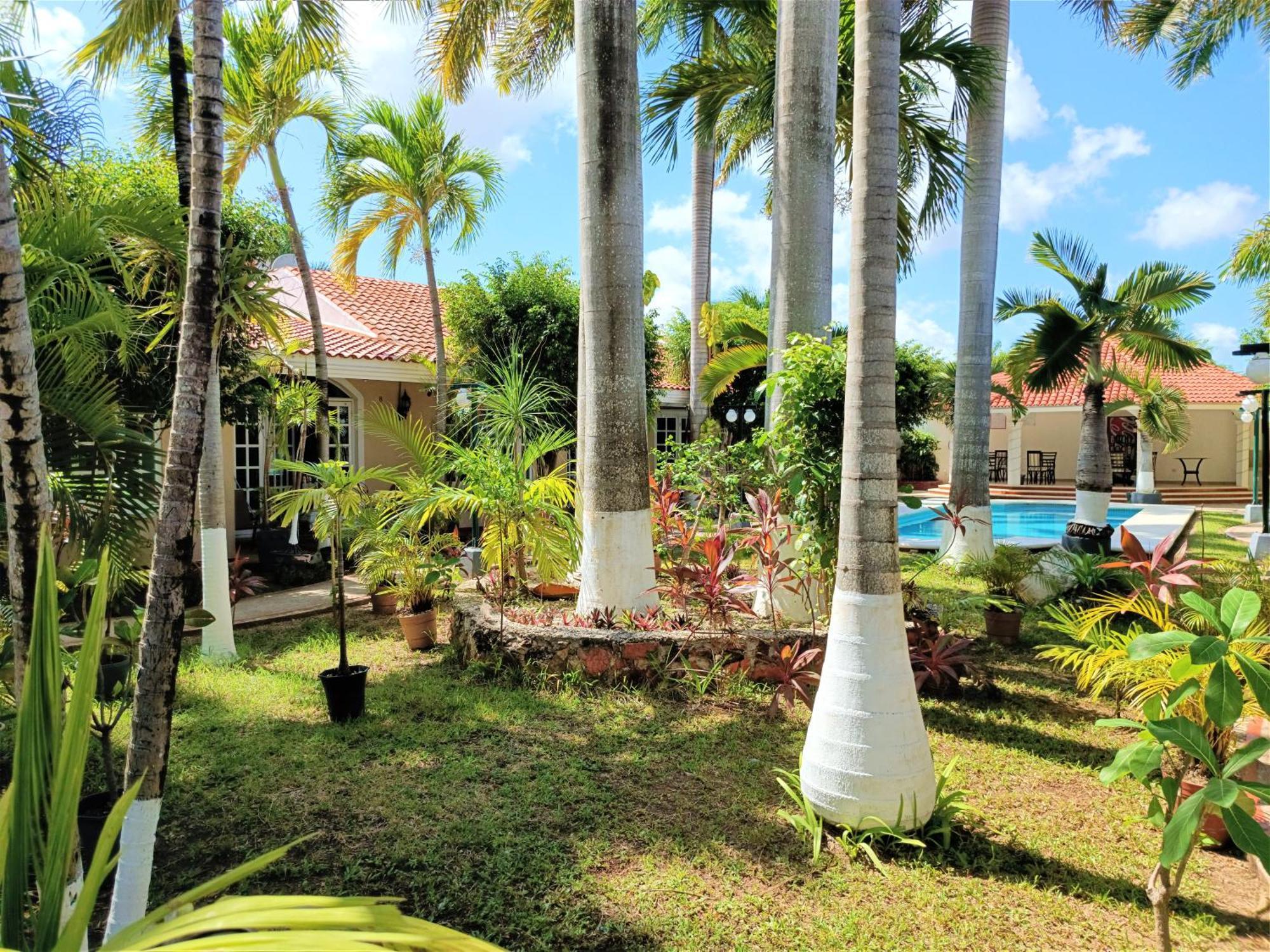 Tulipanes Cancún Exteriör bild